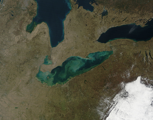 Keeping Lake Erie alive: A four-point plan to tackle algae blooms