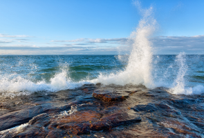 Freshwater Future Weekly: November 26, 2025