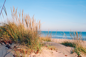 Freshwater Future Weekly: November 14, 2025