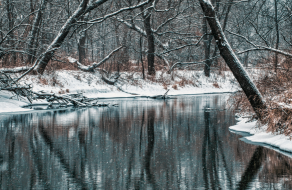 Freshwater Future Weekly: December 19, 2025