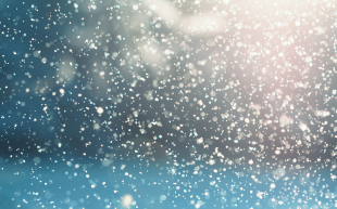 Freshwater Future Weekly: December 12, 2025