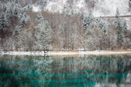 Freshwater Future Weekly: December 5, 2025