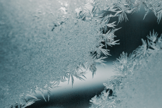 Freshwater Future Weekly: January 9, 2026