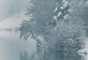 Freshwater Future Weekly: January 2, 2026