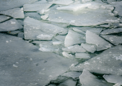 Freshwater Future Weekly: February 20, 2026