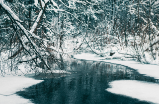 Freshwater Future Weekly: February 27, 2026