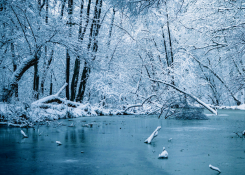 Freshwater Future Weekly: February 6, 2026